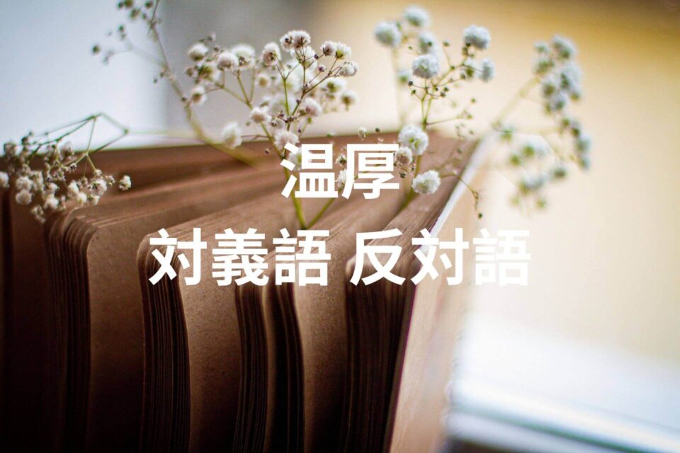 温厚 対義語 反対語とは?意味 例文 会話例と一緒に習得しよう! | たいぎごン